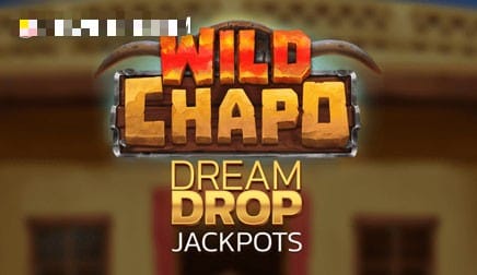 Wild Chapo Dream Drop